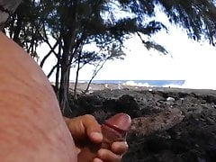 Having fun in the hawaiian sun