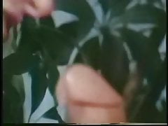 Loni Sanders sucks and fucks big cock mulatto