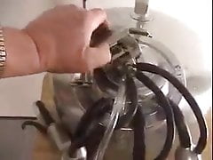 Cock milking machines