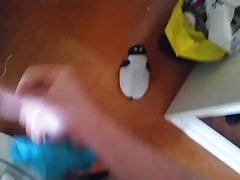 Wanking with Roommates Panties