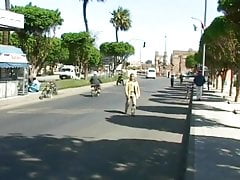 JULIA TAYLOR: #21 Contacts