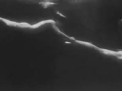 Tarzan and his mate (1934)