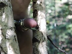 Good masturbation in forest 3