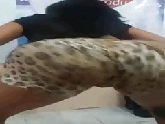 Gostosa de Shortinho de Oncinha