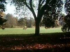 Medieval porn movie with hot and sexy hairy sluts