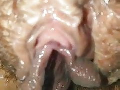Brazilian mature cam