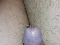 fly on my cock