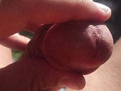 Close up dick... Glistening precum in the sun