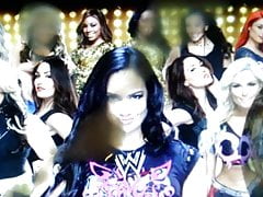 WWE Divas Cum Tribute
