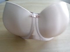 Used 75G bra from my own collection