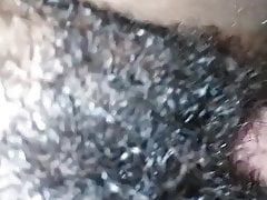 White cock in black hairy pussy