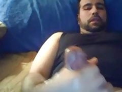 Bear eating cum