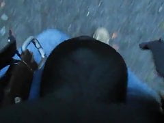 Bulgewalk in the Woods