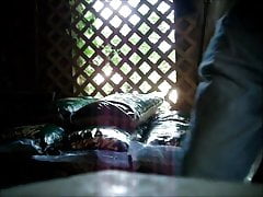 Moving the wood pellets into the shed