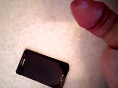 Selon le desir de Lisa...