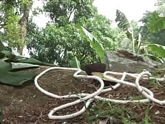 Amazonia capture 2 (my edition).avi