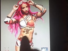 WWE Diva Sasha Banks Tribute 01