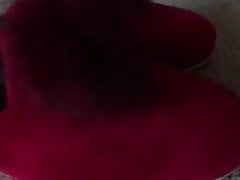 Red slippers