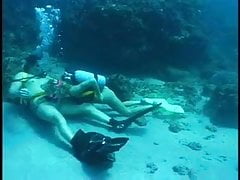 Scuba Blonde Blows and Bangs