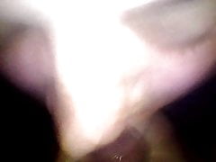 wife amateur blowjob and cum in mouth